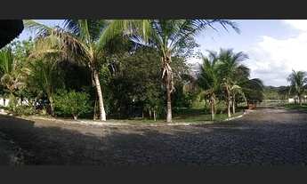 Imagem 5: Sítio com área de 12.420 metros quadrados- investimento