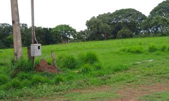 Imagem 6: Fazenda Extra - Cocalinho (MT