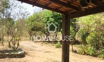 Imagem 7: EXCELENTE CHÁCARA COM 2,91 HÁ, 10KM DA AMBEV,; CASA; ENERGIA; POÇO ARTESIANO; POMAR E MUI