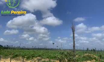 Imagem 2: FAZENDA À VENDA EM PACAJÁ - PA - 968 HECTARES (PECUÁRIA