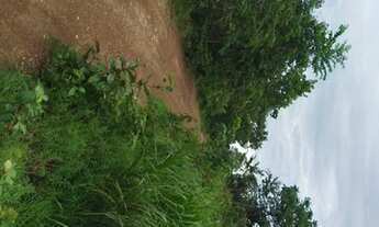 Imagem 4: Fazenda para Venda em Dianópolis