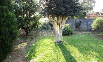 Imagem 5: Terreno Colonia dona Luiza