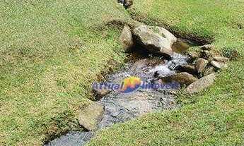 Imagem 7: Sítio com 4 dormitórios à venda, 580800 m² por R$ 1.100.000 - Ponte Nova - Teresópolis/RJ