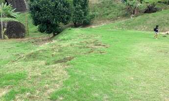 Imagem 6: Terreno com 750 metros quadrados no Parque Natural Municipal, centro de Domingos Martins