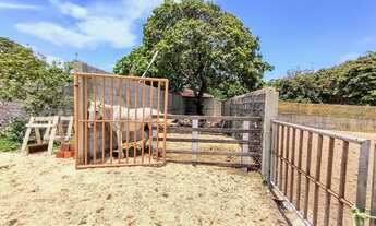 Imagem 3: HARAS em Caucaia para venda