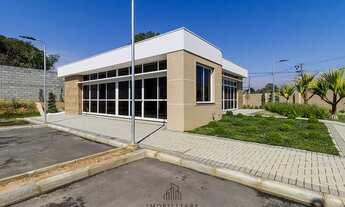 Imagem 5: Terreno no São Braz