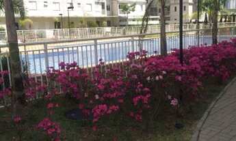 Imagem 3: Vendo um lindo apartamento