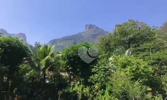 Imagem 7: Casa com 4 dormitórios à venda, 516 m² por R$ 3.600.000,00 - Itanhangá - Rio de Janeiro/RJ