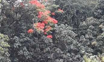 Imagem 2: Kitnet/Conjugado para venda possui 25 metros quadrados em Cascadura - Rio de Janeiro - RJ