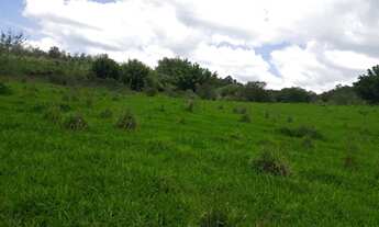 Imagem 4: Terreno 28 Hectares em Passa Tempo Rico em Agua