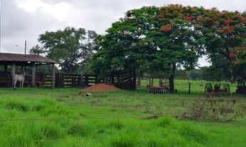 Imagem 5: Fazenda Extra - Cocalinho (MT