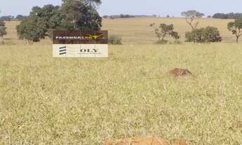 Imagem 3: Fazenda Extra ! Município de Palestina - GO ! 175 Alqueires !