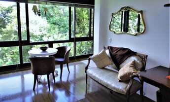 Imagem 7: GRAMADO - Padrão - Planalto