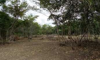 Imagem 5: Terreno bem próximo da Padaria Recanto Verde