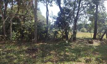 Imagem 5: Chácara 8 hectares. Jaraguari MS