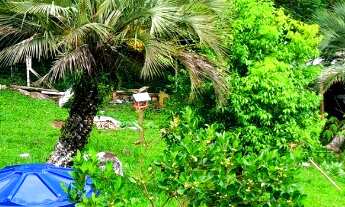 Imagem 7: Sítio á venda em Imaruí, localizado o bairro Nazaré a 500 metros até a lagoa de Imaruí