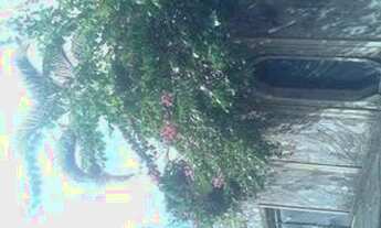 Imagem 5: Casa Bairro de Fátima