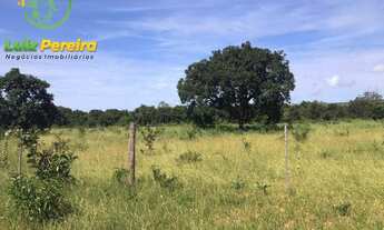 Imagem 4: FAZENDA À VENDA EM CORGUINHO - MS - 1.063 HECTARES (DUPLA APTIDÃO