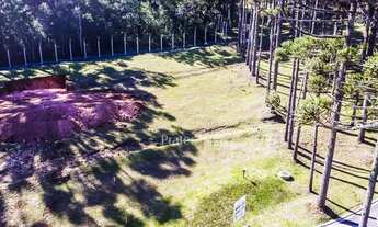 Imagem 7: CURITIBA - Terreno Padrão - Campo Comprido