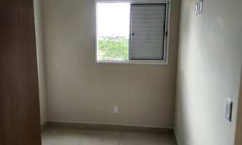 Imagem 6: Valle das palmeiras