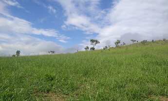 Imagem 2: Chácara de 20.000 metros quadrados Área Rural do Gama - ponte alta - região de santo anton