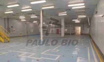 Imagem 7: BAURU - Galpão/Depósito/Armazém - Distrito Industrial Domingos Biancardi