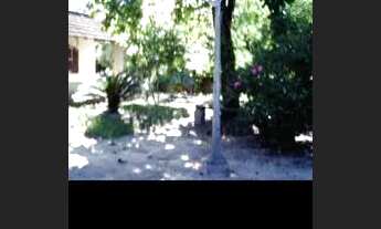 Imagem 5: Sítio 4200m², planotodo murado