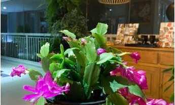 Imagem 5: VILA ANDRADE: NOBRE 260/M², 3 SUÍTES. 4 VAGAS! Ref.:3446029