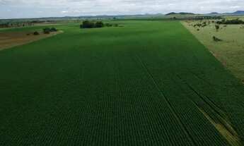 Imagem 4: Area titulada, 160ha, A mais em conta da região