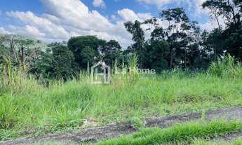 Imagem 4: Blumenau - Terreno Padrão - Tribess