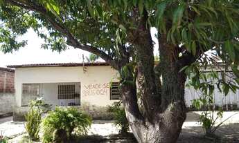 Imagem 3: Mini sítio na sotave