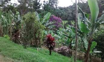 Imagem 5: Chacara 20.000m2 em Juquitiba