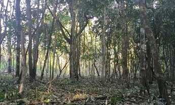 Imagem: Lote/Terreno em Pirenópolis-GO