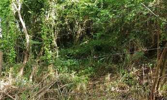 Imagem 6: NITERÓI - Terreno Padrão - PIRATININGA