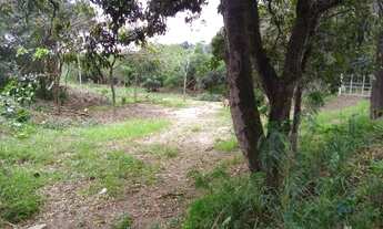 Imagem 3: Vendo ou troco terreno na Rod José Sete