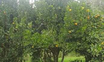 Imagem 2: Imóvel Casa com 2 dormitórios