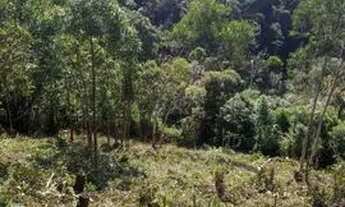 Imagem 3: Oportunidade imperdível! Descubra a excelência!