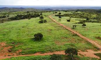Imagem 2: Fazenda 1.500 hect em Acorizal MT. 600hect formados 15 milhões