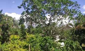 Imagem 2: Vendo fazendinha em Betim