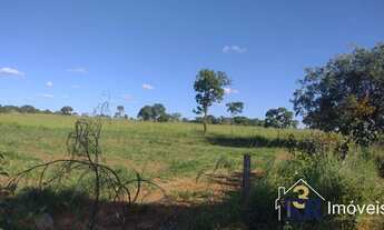 Imagem 2: Chácara com 6 alqueres, rica em água no muninicipio de piracanjuba