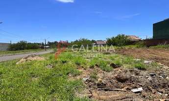 Imagem 6: Terreno no Paradis