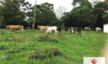 Imagem 2: Fazenda com 3 dormitórios à venda, 484000 m² por R$ 1.300.000,00 - Curvelo - Curvelo/MG
