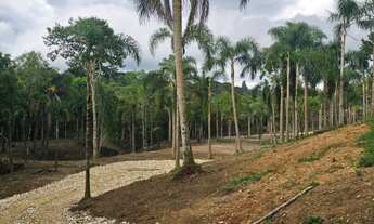 Imagem 2: Belas Áreas a venda Roseira , ótima oportunidade