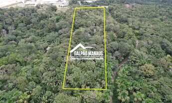 Imagem: Galpão Manaus - 33.200 m² - AM 010 - TRV286