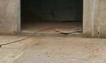 Imagem 4: Lote Casa com 2 banheiros