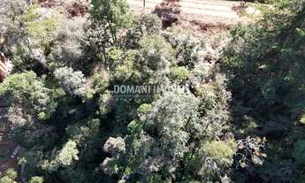 Imagem 2: Oportunidade de Lote de Terreno à Venda na Região do Imbiri - Campos do Jordão/SP