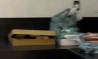 Imagem 6: Alto Padrão Jardim Palmeiras/Financia,!!!