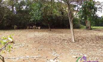 Imagem 7: AREA - GRANJA VIANA - SP