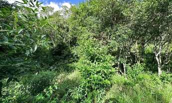 Imagem 4: Terreno de 1.494m² no João Paulo