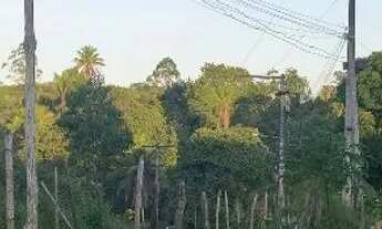 Imagem 7: Casa Grande Com Sítio